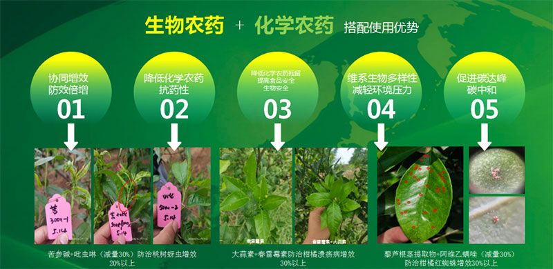 新朝陽在第六屆中國農(nóng)藥行業(yè)市場和銷售高峰論壇做“生物農(nóng)藥+化學(xué)農(nóng)藥，引領(lǐng)植保市場未來”主題報告