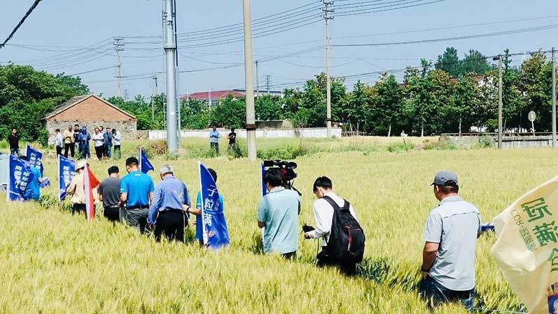 520健康植保日——擁抱綠色農(nóng)業(yè)，我們在行動(dòng)