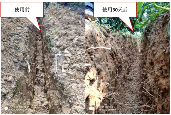 “土壤板結(jié)克星”：土壤調(diào)理劑你了解多少？