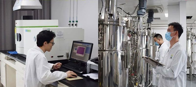 打造新朝陽生物科技“五張名片”，服務(wù)農(nóng)業(yè)高質(zhì)量發(fā)展！