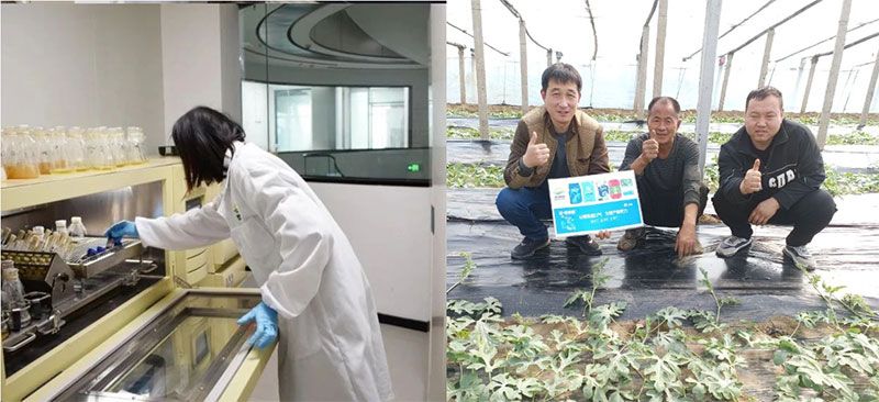 打造新朝陽生物科技“五張名片”，服務(wù)農(nóng)業(yè)高質(zhì)量發(fā)展！