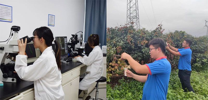 打造新朝陽生物科技“五張名片”，服務(wù)農(nóng)業(yè)高質(zhì)量發(fā)展！