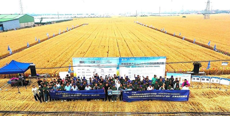 生物技術(shù)助力糧食單產(chǎn)顯著提升-“十四五”國家重點(diǎn)研發(fā)計(jì)劃成果應(yīng)用觀摩會圓滿落幕