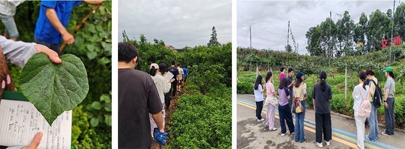 首個(gè)！中國(guó)農(nóng)業(yè)大學(xué)攜手新朝陽啟動(dòng)“朝陽稼穡計(jì)劃”