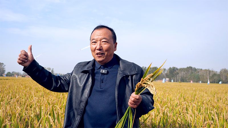 綠色提單產(chǎn)就用冠菌素 開辟糧食抗逆增產(chǎn)新路徑