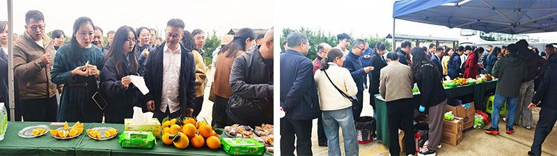 新朝陽生物技術助力綠色防控，推動柑橘產業(yè)綠色高質量發(fā)展